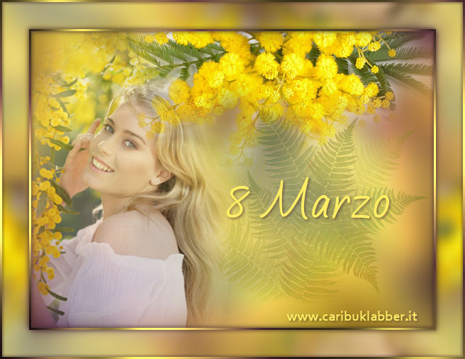 tag 8 Marzo 2014